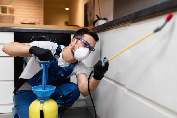 Best Pest Control Near Me  in Murraysville, NC
