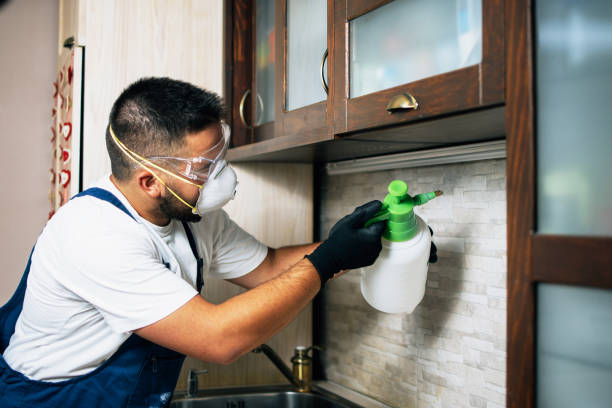 Best Exterminator Services  in Murraysville, NC
