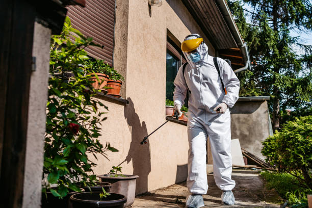 Best Cockroach Control Services  in Murraysville, NC