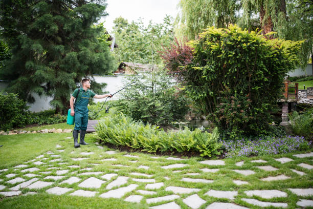 Best Wasp Removal Services  in Murraysville, NC