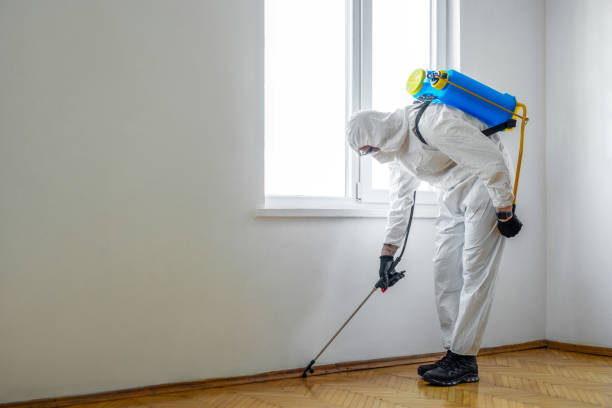 Best Residential Pest Control  in Murraysville, NC