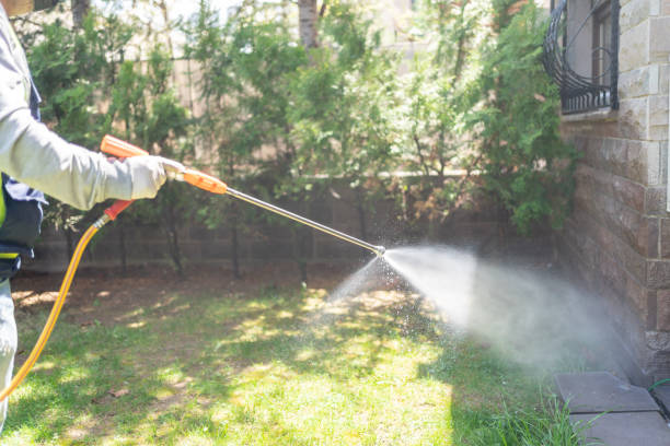 Best Wasp Removal Services  in Murraysville, NC